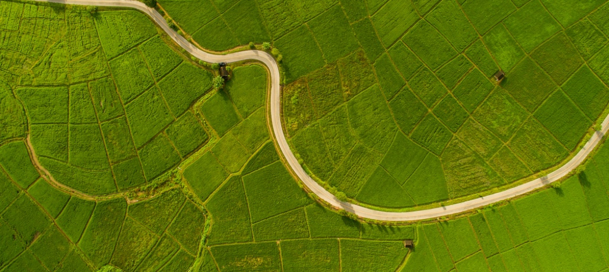 Fotografía aérea de una carretera con curvas atravesando un campo verde 
