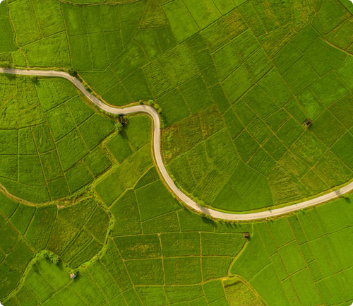 Fotografía aérea de una carretera con curvas atravesando un campo verde 